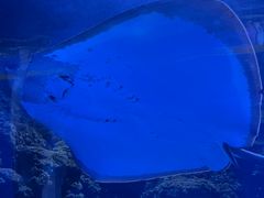 -台州海洋世界