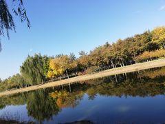 -大兴滨河森林公园