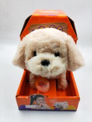 -开心哈乐亲子乐园(东森时尚百货店)