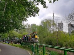 -长白岛森林公园