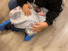 -浣熊柯尔鸭土拨鼠·电玩咖
