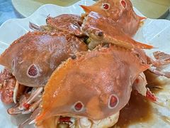 -四姑娘川味海鲜(八爪鱼店)