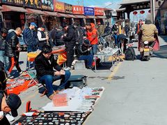 -中环花鸟鱼虫市场