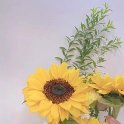 -Y-STUDIO原理