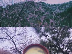 -十三陵水库