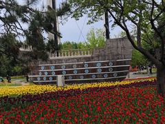 -长春公园(普阳街道)