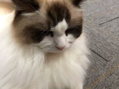 -零纪元VR体验馆·桌游(黄浦店)