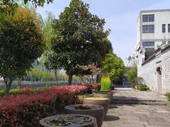 -鄞州雪菜博物馆