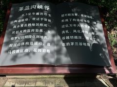 -茅兰沟国家森林公园