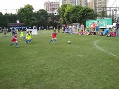 -小赛虎少儿足球培训(南翔校区)