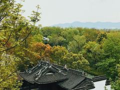 -西溪国家湿地公园