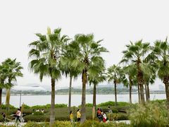-深圳人才公园