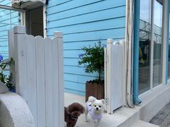 -BLUE HOUSE咖啡