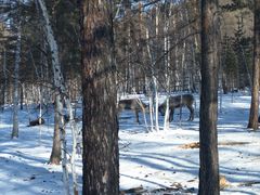 -北极村旅游风景区