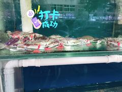 -海帮主·蒸汽海鲜青岛菜(栈桥火车站店)