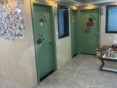 -半岛宠物医院24小时·内窥镜·牙科·碎石中心(府城大道店)
