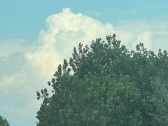 -欢乐牧场烧烤涮自助餐厅(新天地店)