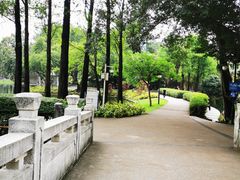 -晓港公园
