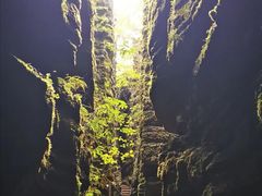 -梭布垭石林景区