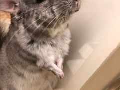 -龙猫仔乐园(惠福东路店)