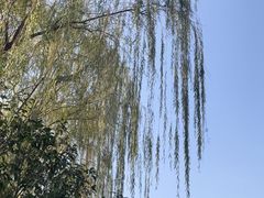 -寒山寺