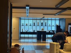 -新加坡乌节希尔顿酒店