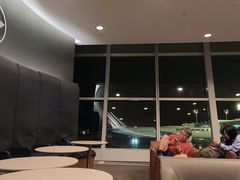 -约翰·菲茨杰拉德·肯尼迪国际机场