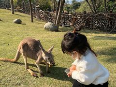 -泉州海丝野生动物世界