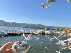 -昆明冠生园·蛋糕·面包(南强街店)