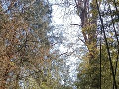 -四门塔风景区