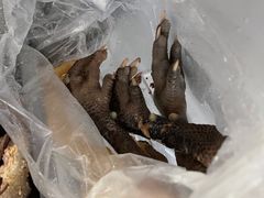 -荥经棒棒鸡(钢管厂五区店)