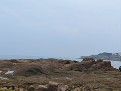 -燕儿岛山公园