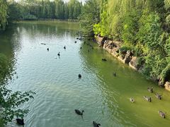 -洛阳市隋唐城遗址植物园