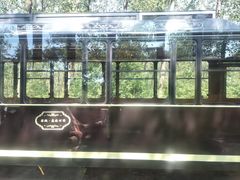 -合肥滨湖国家森林公园