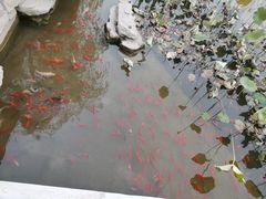 景点-西海子公园