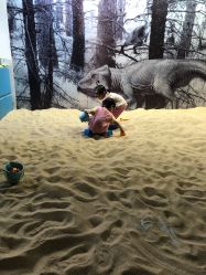 -恐龙探索乐园(磁器口店)