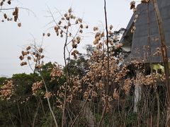 -福道
