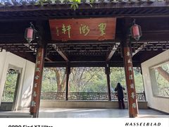 -杭州半山国家森林公园