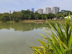 -福田红树林生态公园