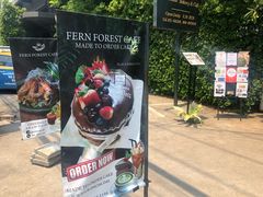 -Fern Forest Cafe