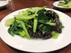 -红虎饺子房(维纳斯城堡)