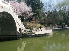-团结湖公园