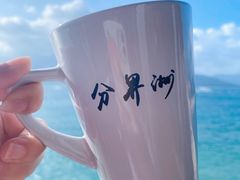 -海南分界洲岛旅游区