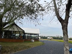 -汉长安城未央宫国家考古遗址公园