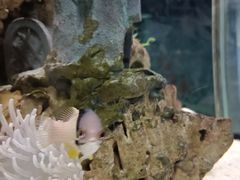 -太平洋海底世界