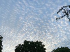 -比格比萨自助(南京万达茂店)