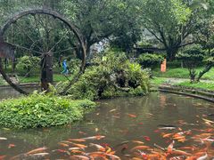-莫里热带雨林景区
