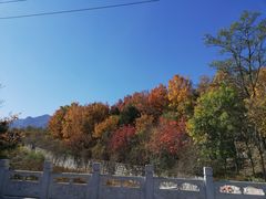 -北京凤凰岭