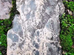 -紫金山天文台