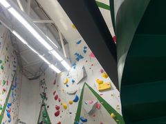 -绿壁虎攀岩基地(Tcar店)